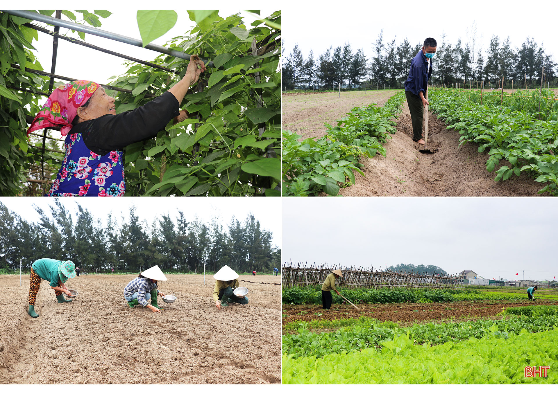 Dân chủ, trí tuệ, trách nhiệm, đáp ứng lòng mong mỏi của cử tri và Nhân dân Hà Tĩnh