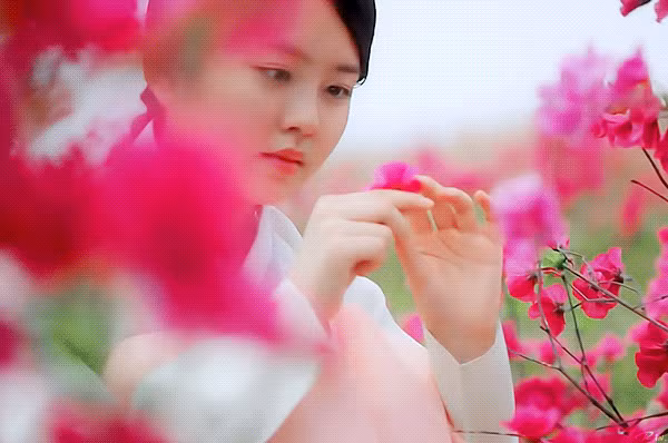 ly do mat na quan chu de tro thanh phim lich su han thanh cong nhat
