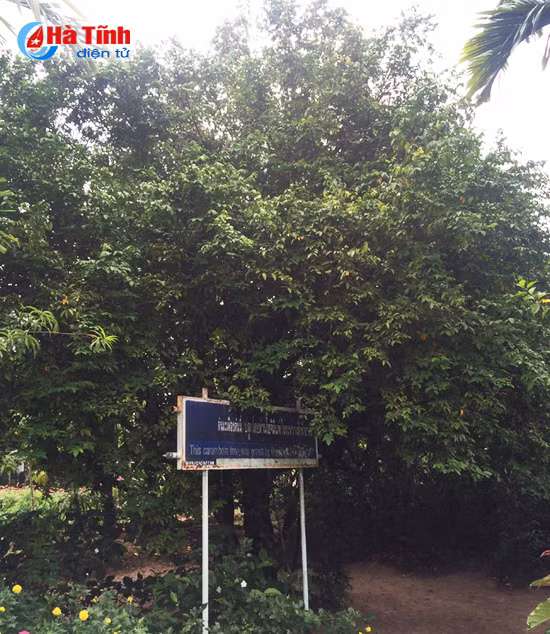 tham khu luu niem bac ho tai nakhon phanom
