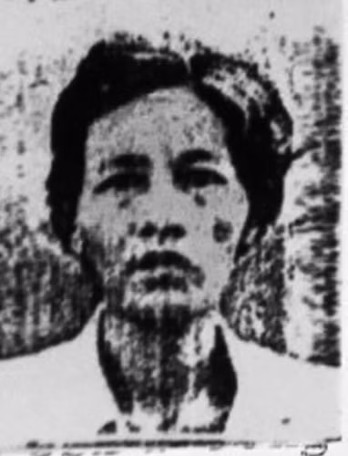 dung ho so nha dat gia mao lua dao 12 ty dong