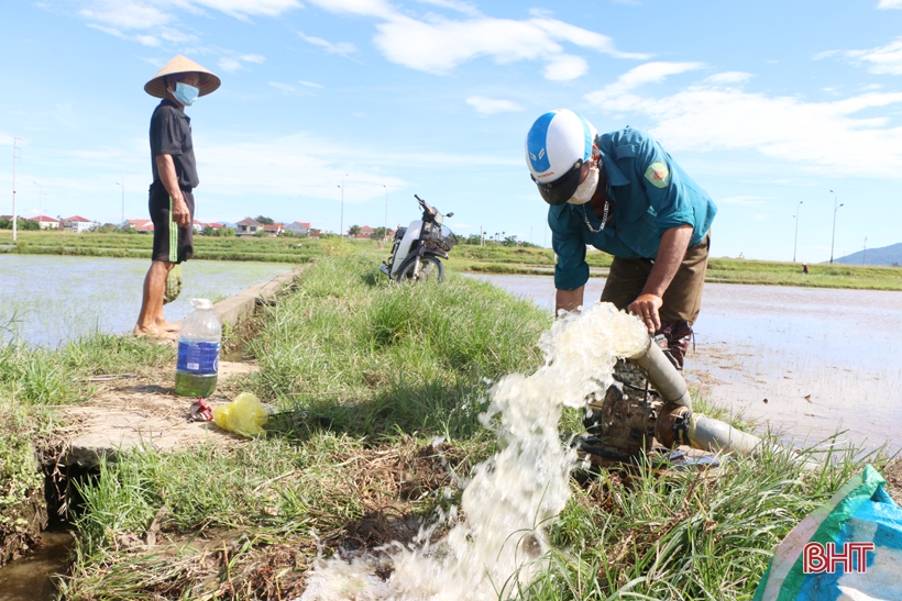 Nông dân thị xã Kỳ Anh tất bật ra đồng