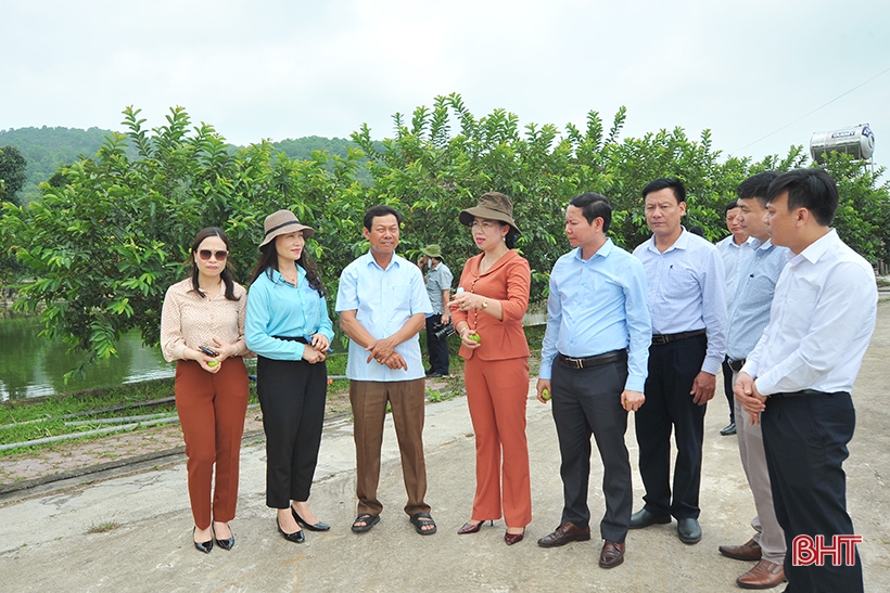 Tập trung vào những vấn đề liên quan đến nông nghiệp, bảo vệ quyền và lợi ích của nông dân