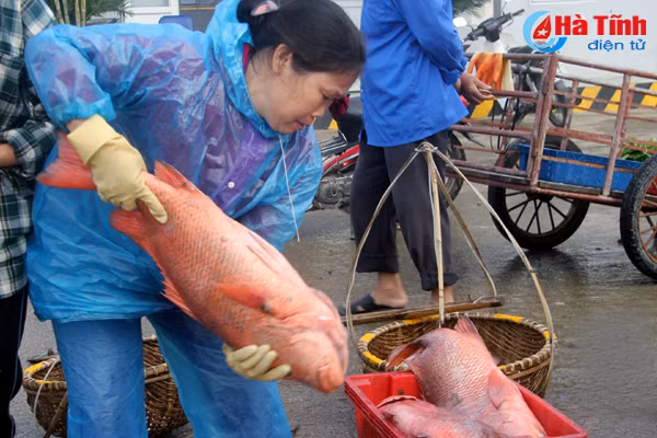 video ngu dan ha tinh trung dam hai san dip sat tet
