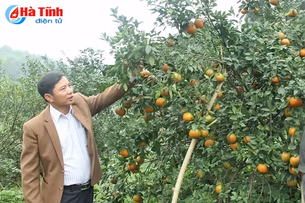 video me man nhung vuon cam bu chin mong o son truong