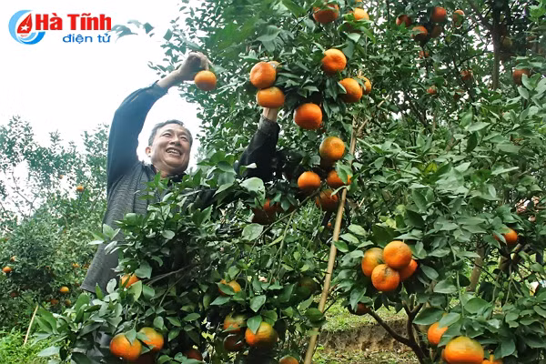 video me man nhung vuon cam bu chin mong o son truong