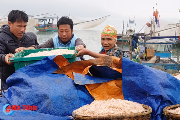 video ngu dan ha tinh trung dam hai san dip sat tet