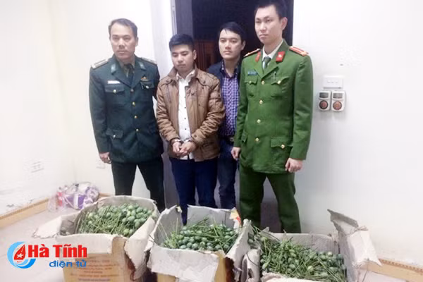 bat lai xe taxi van chuyen 50kg qua thuoc phien tuoi