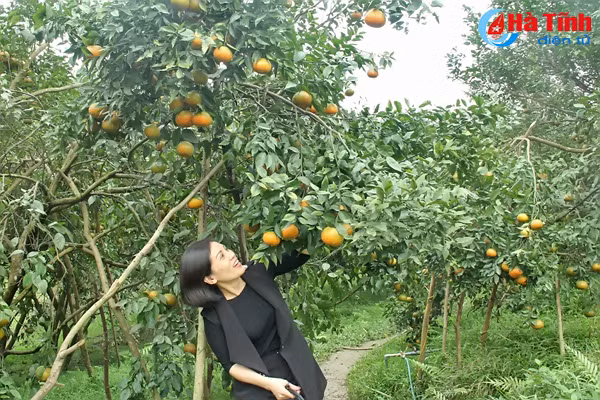 video me man nhung vuon cam bu chin mong o son truong