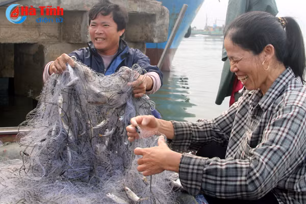 video ngu dan ha tinh trung dam hai san dip sat tet