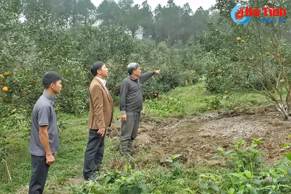 video me man nhung vuon cam bu chin mong o son truong