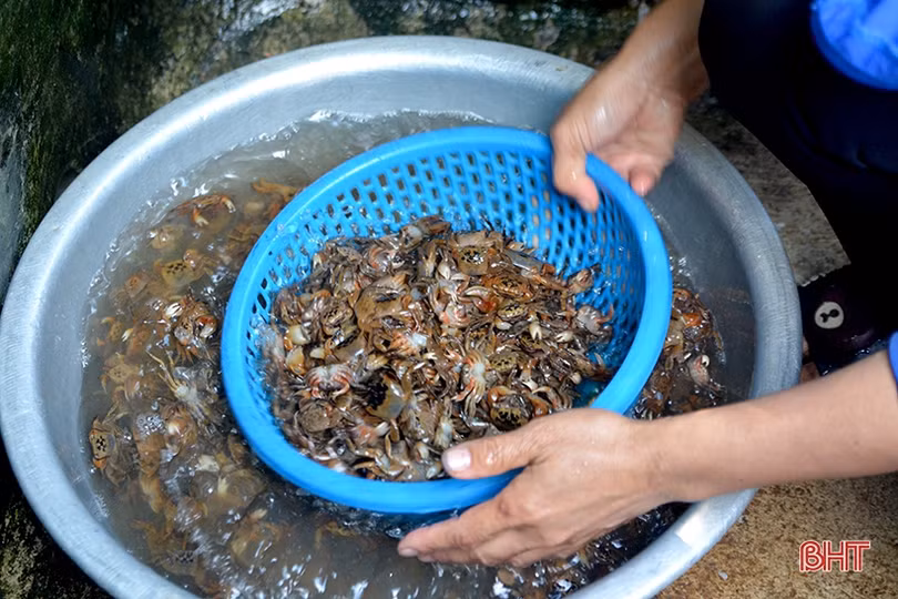 Bí quyết làm ruốc cáy Trung Lương ngon nức tiếng