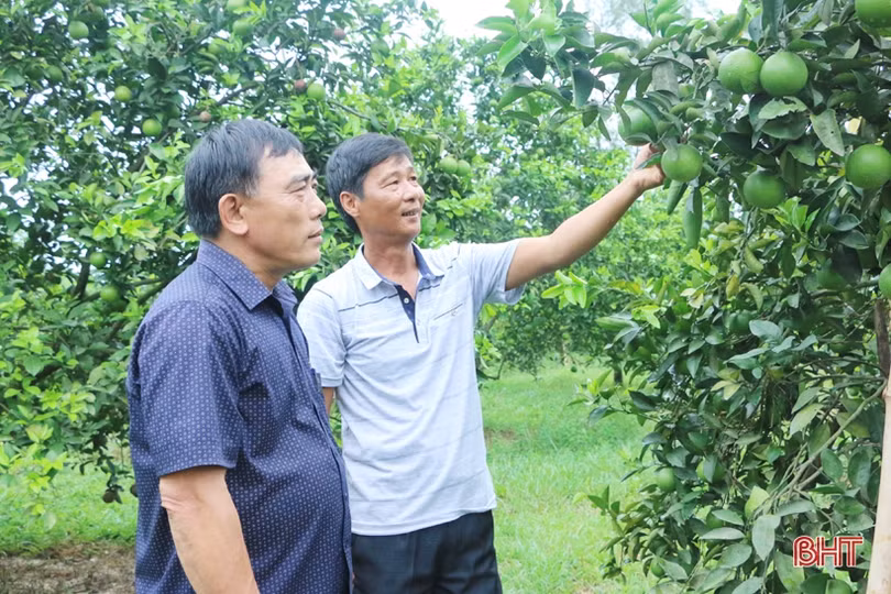 Cặp vợ chồng bắt đất “nhả vàng” ở huyện miền núi Hà Tĩnh