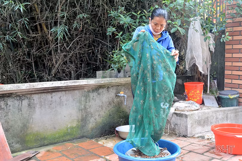 Bí quyết làm ruốc cáy Trung Lương ngon nức tiếng