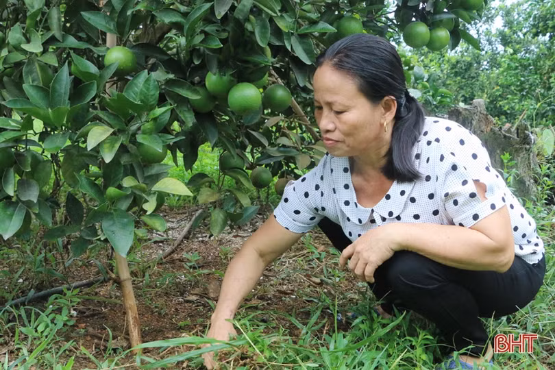 Cặp vợ chồng bắt đất “nhả vàng” ở huyện miền núi Hà Tĩnh