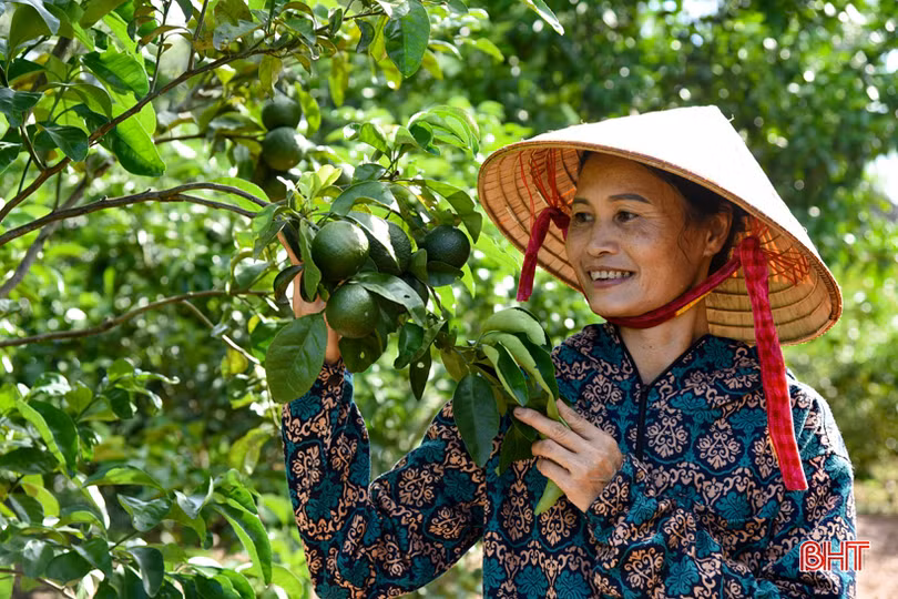Thăm khu dân cư kiểu mẫu dưới chân dãy núi Thiên Nhẫn