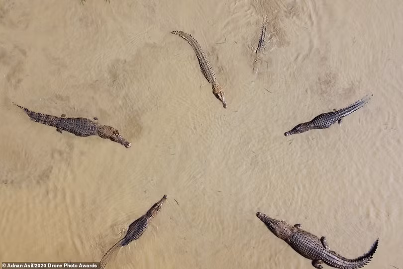 Mê mẩn những tác phẩm đoạt giải Drone Photo Awards 2020