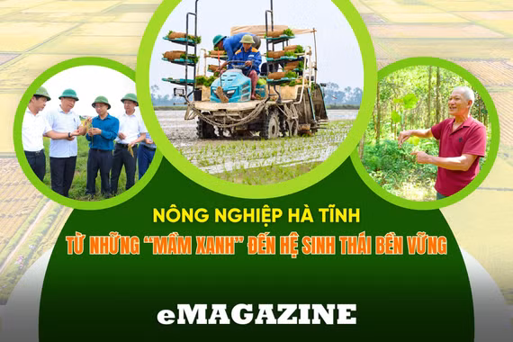 Nông nghiệp Hà Tĩnh: từ những “mầm xanh” đến hệ sinh thái bền vững