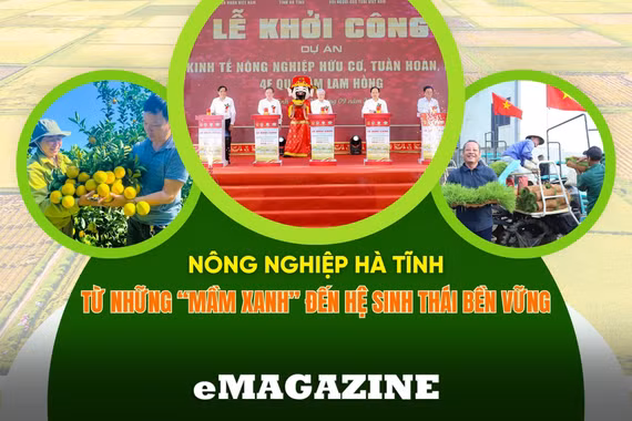 Nông nghiệp Hà Tĩnh (bài cuối): Kiến tạo động lực, nâng cao giá trị gia tăng