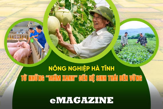 Nông nghiệp Hà Tĩnh (bài 2): Hành trình chuyển đổi còn nhiều thử thách