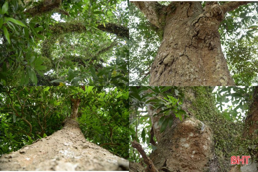 Thiết kế chưa có tên.jpg