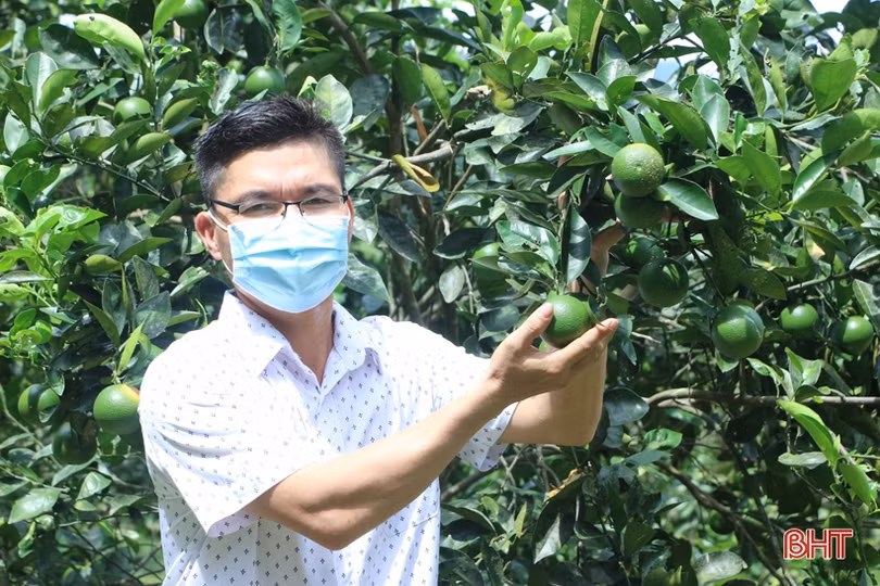 Vũ Quang xây dựng “Nông nghiệp an toàn, nông dân thông thái, nông thôn yên bình”