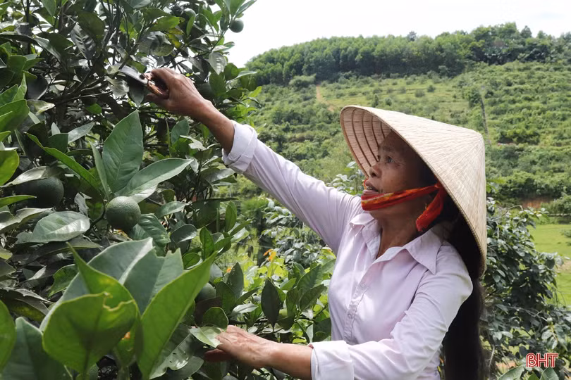 Ấm lòng những ngôi nhà tình nghĩa ở huyện miền núi Vũ Quang