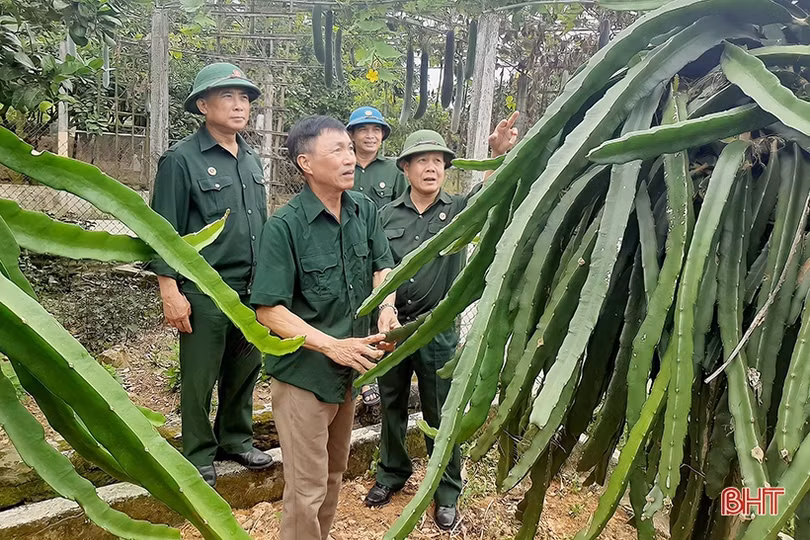 Người cựu binh Hà Tĩnh “vượt khó” làm kinh tế, tích cực đóng góp cho phong trào