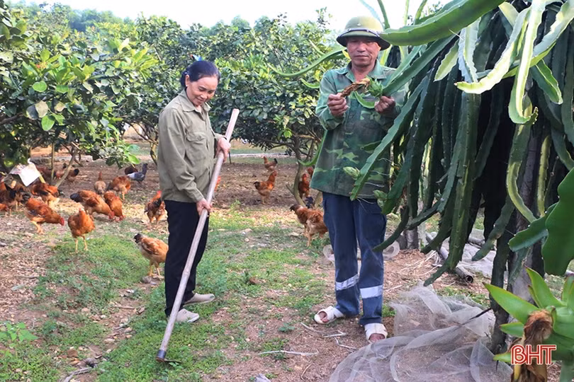 Người cựu binh Hà Tĩnh “vượt khó” làm kinh tế, tích cực đóng góp cho phong trào