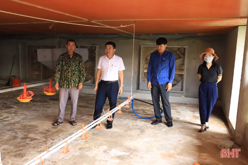 Thu nhập gần 400 triệu đồng/năm từ nuôi gà liên kết