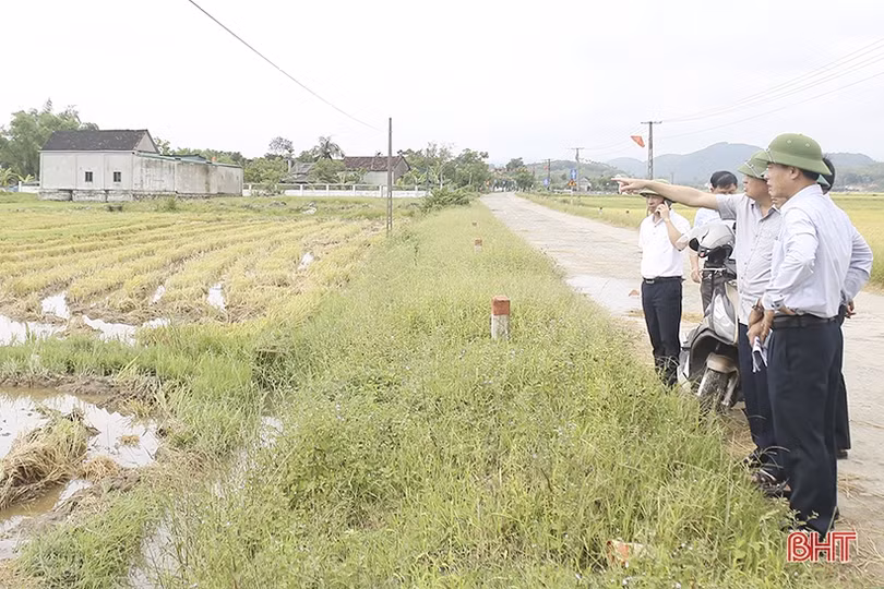 Hoàn tất bàn giao mốc lộ giới giải phóng mặt bằng cao tốc Bắc - Nam, đoạn Bãi Vọt - Hàm Nghi qua Can Lộc