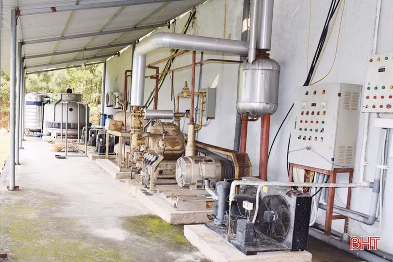 Nhà máy chế biến súc sản ở thị xã Kỳ Anh “đắp chiếu”