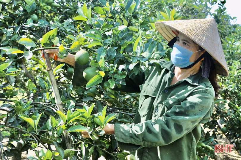 Thị trấn Vũ Quang hướng tới mục tiêu đô thị sinh thái