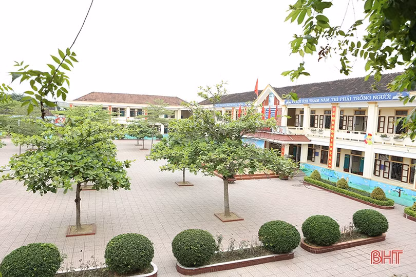 Đường đến danh hiệu Nhà giáo ưu tú của cô hiệu trưởng trường tiểu học ở Hà Tĩnh