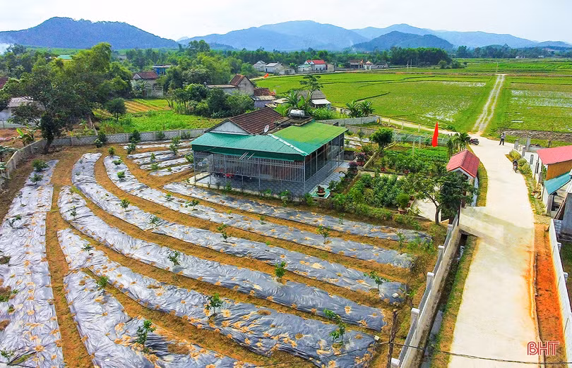 Lấy ý kiến đề nghị xét công nhận huyện Cẩm Xuyên đạt chuẩn NTM