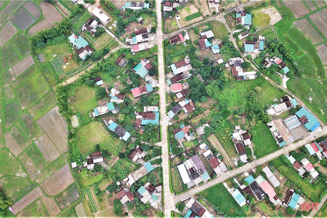 Người cựu binh ở Hà Tĩnh dành 4-6 tiếng mỗi ngày chăm vườn mẫu sum suê cây trái