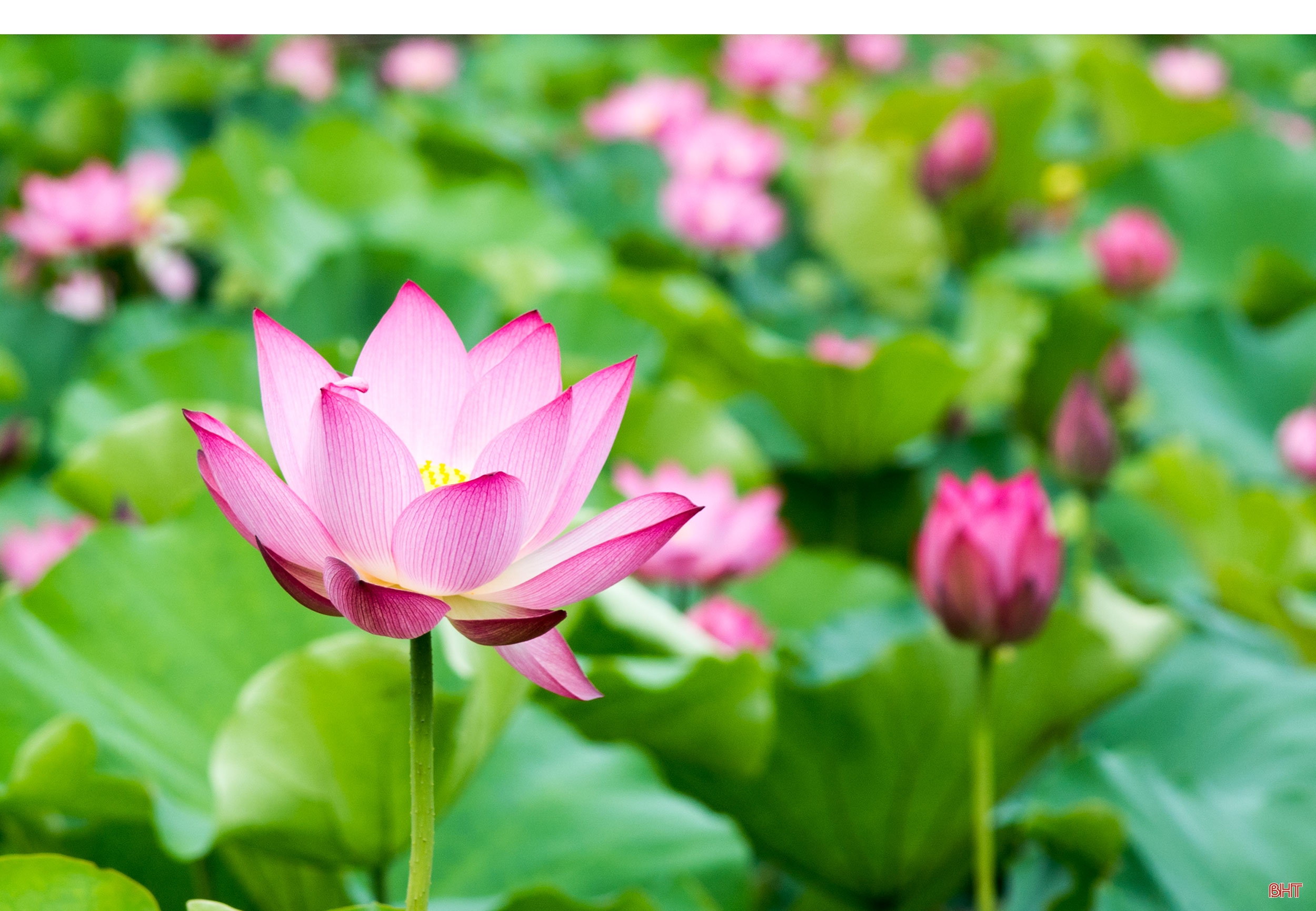 Liên Thành, dấu xưa còn đó...