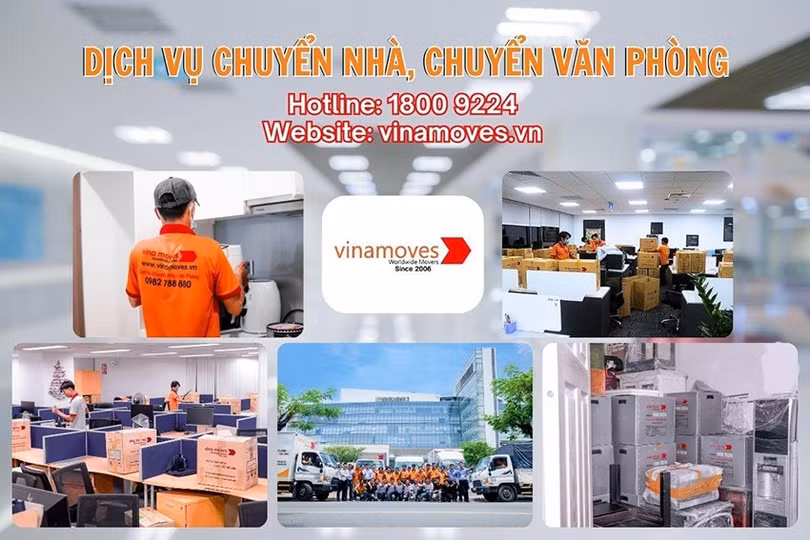 vinamoves-1.jpg