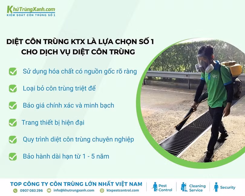 diet-con-trung-3.jpg