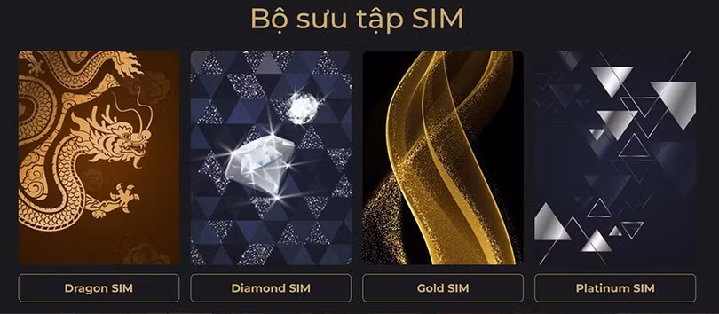 cho-sim-24h1.jpg