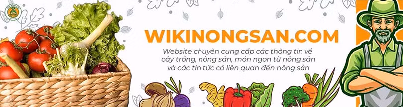 wiki-1.jpg
