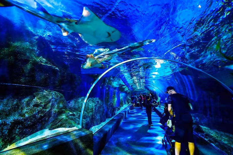 sea-life-2.jpg