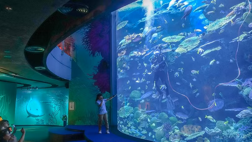 sea-life-3.jpg