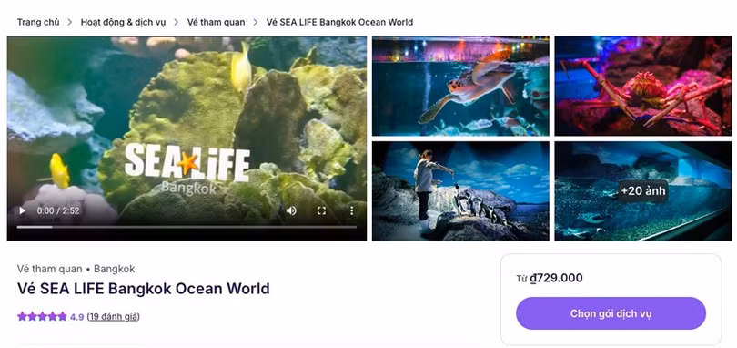 sea-life-5.jpg