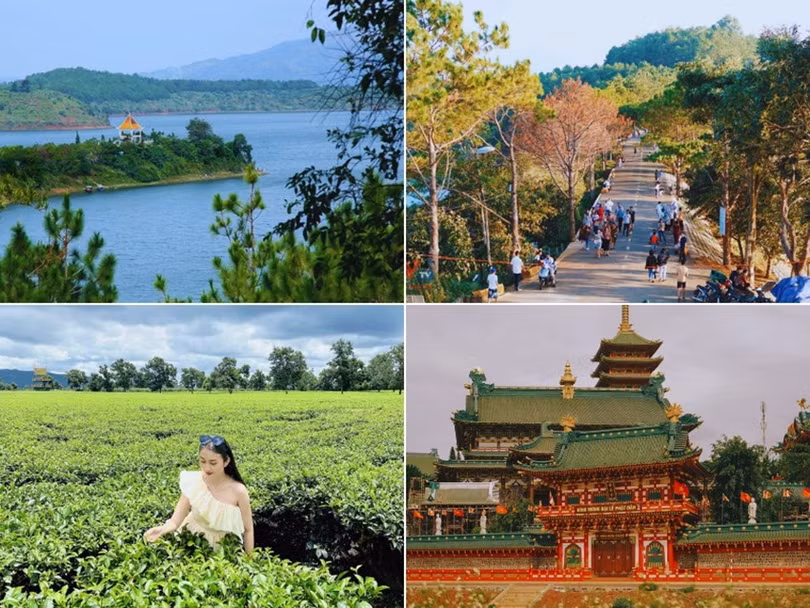 chuong-trinh-2.jpg