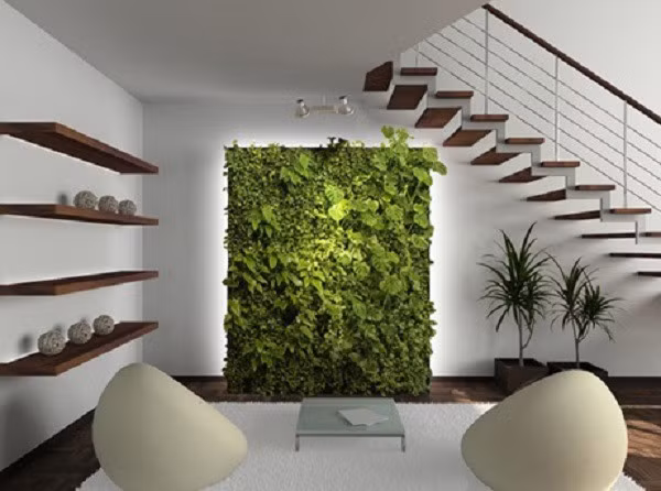 5 sai lầm khi trồng cây trong nhà ảnh hưởng đến sức khỏe