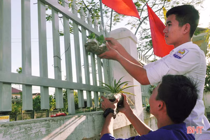 Những bầu cây “bắt mắt” trên tường rào của học sinh Hà Tĩnh