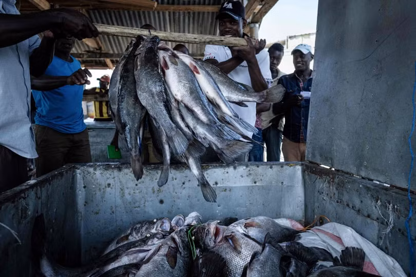 Cuộc sống trên “đảo rùa” chật chội Migingo