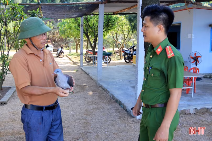 Thợ săn lùng sục, loại chim quý ở vùng biển Kỳ Xuân rời bỏ chốn quen