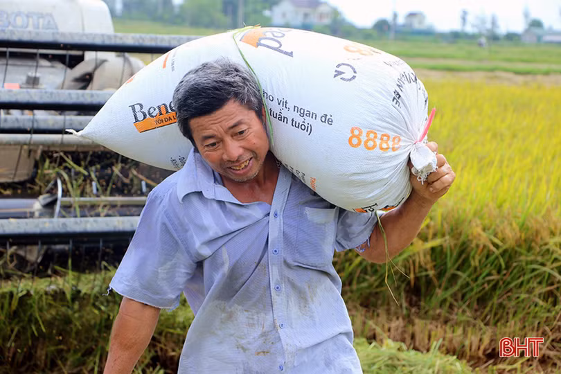Muôn kiểu chống nóng của người Hà Tĩnh