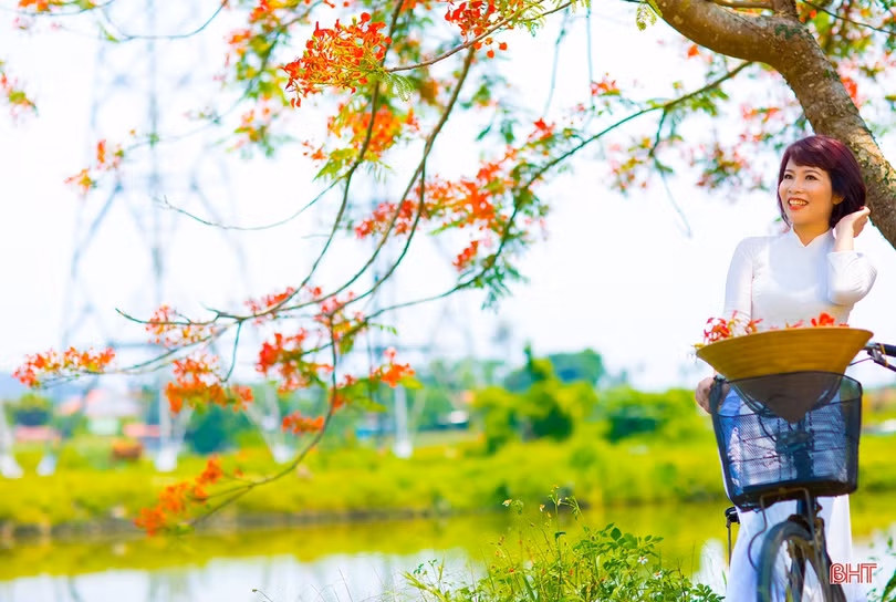 Tuổi học trò xao xuyến mùa phượng đỏ
